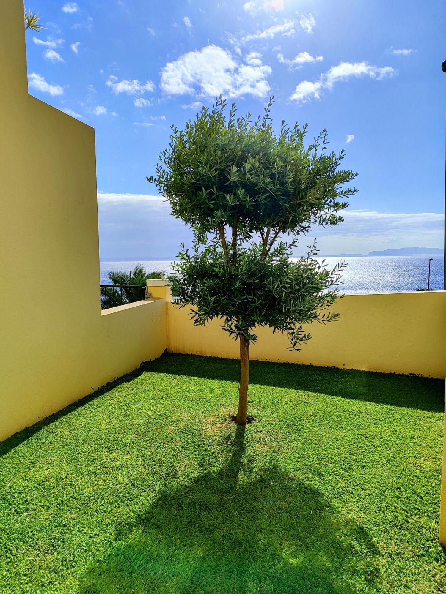 Sun Hill Apartment Σάντα Κρουζ Εξωτερικό φωτογραφία